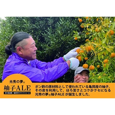 京都府亀岡市産の柚子を副原料に使用したクラフトビール『光秀の夢(R)柚子ALE』6本セット