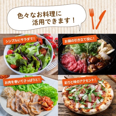新鮮 旬の葉物野菜 7種～11種 詰め合わせ ボリュームセット《小島農園》
