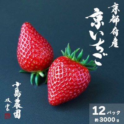 高級 京いちご 約250g×12パック【紅ほっぺ・おいCベリー・スターナイトから厳選】