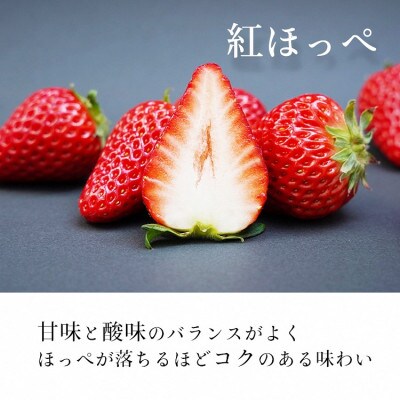 高級 京いちご 2箱(約900g)【紅ほっぺ・おいCベリー・スターナイトから厳選】