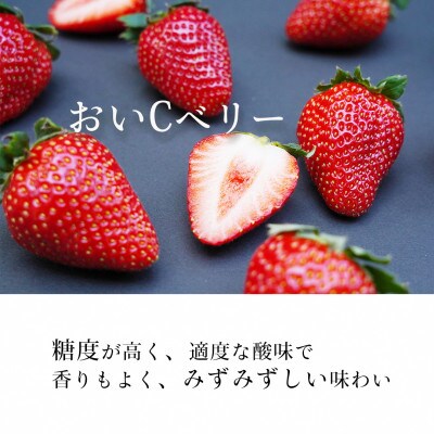 高級 京いちご 2箱(約900g)【紅ほっぺ・おいCベリー・スターナイトから厳選】
