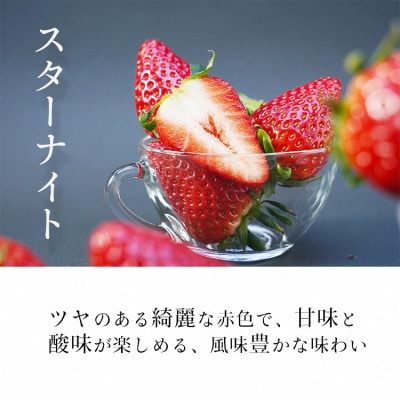 高級 京いちご 2箱(約900g)【紅ほっぺ・おいCベリー・スターナイトから厳選】