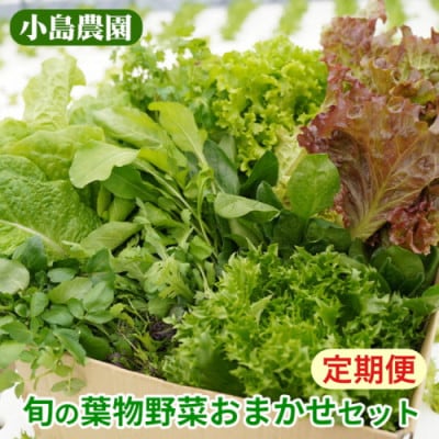 【毎月定期便】新鮮 旬の葉物野菜セット 7種詰め合わせ全6回