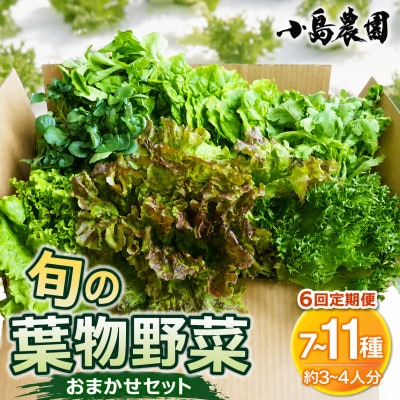 【毎月定期便】新鮮 旬の葉物野菜セット 7種～11種 詰め合わせ 全6回