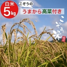 亀岡産きぬひかり「こぞう米」(精米)5キロ こぞうのうまから高菜付き