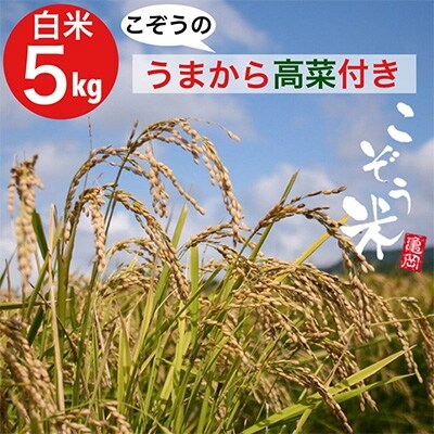 亀岡産きぬひかり「こぞう米」(精米)5キロ　こぞうのうまから高菜付き