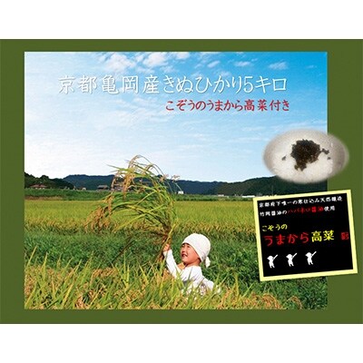 亀岡産きぬひかり「こぞう米」(精米)5キロ　こぞうのうまから高菜付き