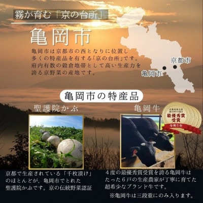 【京菜味 のむら】京のおせち 三段重 37品目 3～4人前 冷凍≪京都 亀岡市 限定 2026≫