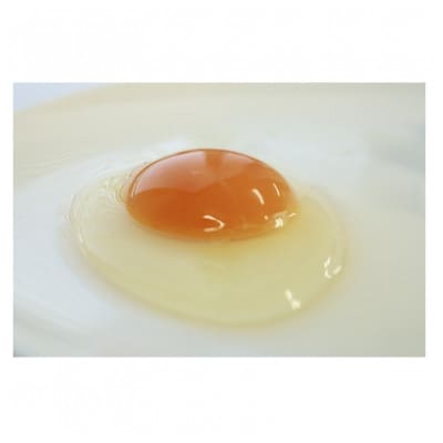 新鮮 丹波の赤たまご 100個(20個×5パック)+割れ保証20個