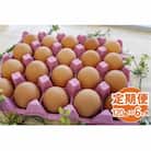 【毎月定期便】新鮮 丹波の赤たまご 100個(20個×5パック)+割れ保証20個全6回