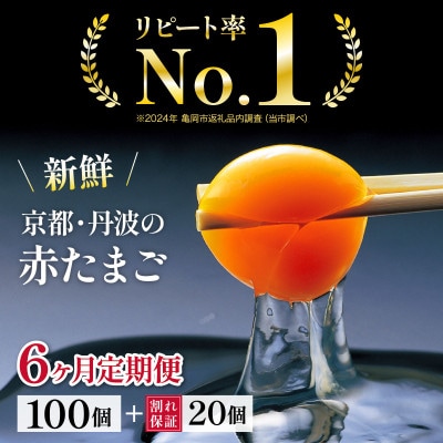 【毎月定期便】新鮮 丹波の赤たまご 100個(20個×5パック)+割れ保証20個全6回
