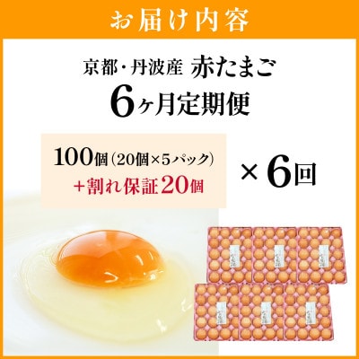 【毎月定期便】新鮮 丹波の赤たまご 100個(20個×5パック)+割れ保証20個全6回
