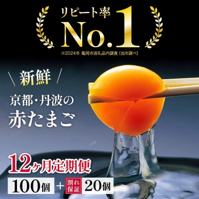 【毎月定期便】新鮮 丹波の赤たまご 100個(20個×5パック)+割れ保証20個全12回