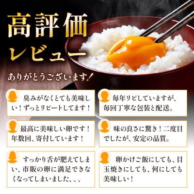 【毎月定期便】新鮮 丹波の赤たまご 100個(20個×5パック)+割れ保証20個全12回