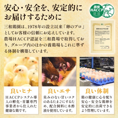 【毎月定期便】新鮮 丹波の赤たまご 100個(20個×5パック)+割れ保証20個全12回