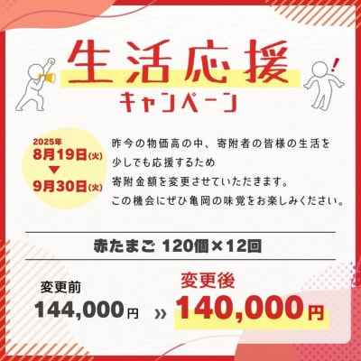 【毎月定期便】新鮮 丹波の赤たまご 100個(20個×5パック)+割れ保証20個全12回