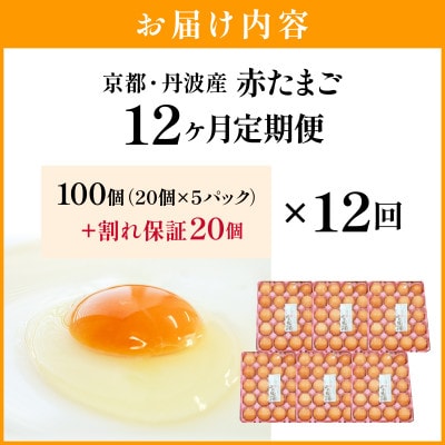 【毎月定期便】新鮮 丹波の赤たまご 100個(20個×5パック)+割れ保証20個全12回