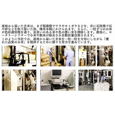 【令和5年産】京都丹波産 こしひかり 5kg ※精米したてをお届け