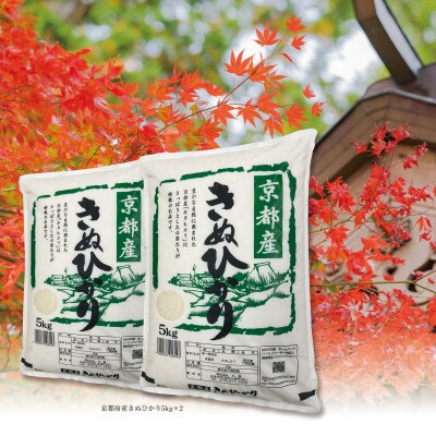 【令和5年産】京都丹波産 きぬひかり 5kg×2 計10kg ※精米したてをお届け