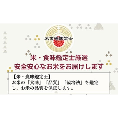 【令和5年産】京都丹波産 こしひかり 5kg×2 計10kg ※精米したてをお届け