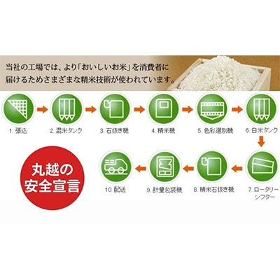 【令和5年産】京都丹波産 こしひかり 5kg×2 計10kg ※精米したてをお届け