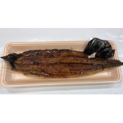 愛知産うなぎ蒲焼/1匹