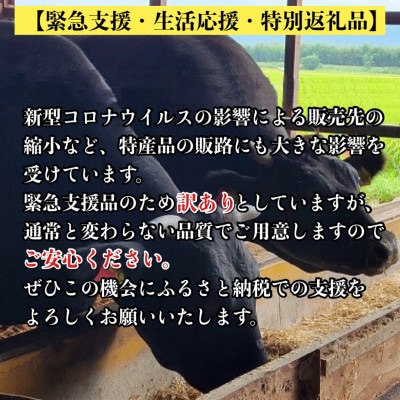 京都黒毛和牛『亀岡牛』サーロインステーキ250g×3枚 京都いづつ屋厳選【訳あり・緊急支援品】