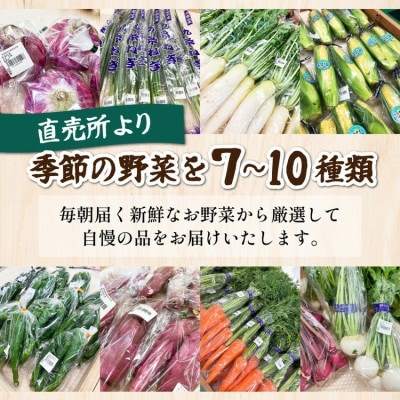 【訳あり】農家直送!佐伯の里の新鮮 季節の野菜セット 7～10品目
