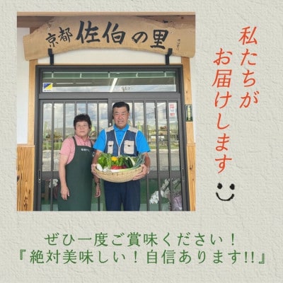 【訳あり】農家直送!佐伯の里の新鮮 季節の野菜セット 7～10品目