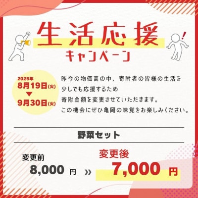 【訳あり】農家直送!佐伯の里の新鮮 季節の野菜セット 7～10品目