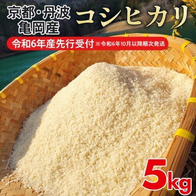 【令和6年産先行受付】農家直送!佐伯の里 源流米 京都丹波産コシヒカリ5kg