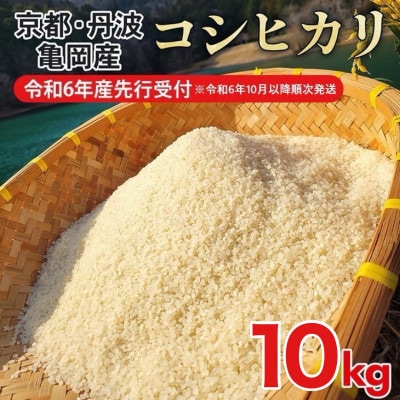 【令和6年産先行受付】農家直送!佐伯の里 源流米 京都丹波産コシヒカリ10kg