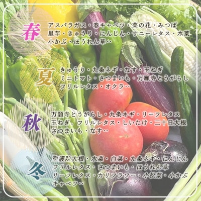 【訳あり】農家直送!旬の野菜7～10品+コシヒカリ2kg 詰め合わせセット 京都佐伯の里