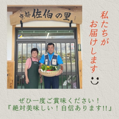 【訳あり】農家直送!旬の野菜7～10品+コシヒカリ2kg 詰め合わせセット 京都佐伯の里