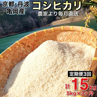 【毎月定期便】農家直送!佐伯の里 源流米 京都丹波産 コシヒカリ5kg全3回