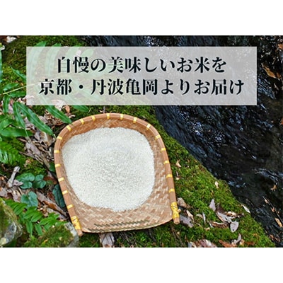 【毎月定期便】農家直送!佐伯の里 源流米 京都丹波産 コシヒカリ5kg全3回