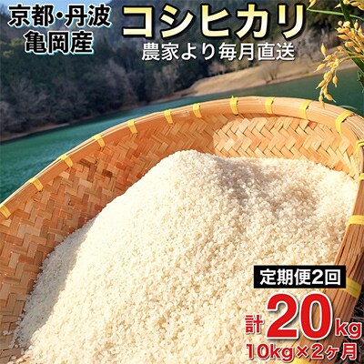 【毎月定期便】農家直送!佐伯の里 源流米 京都丹波産 コシヒカリ10kg全2回