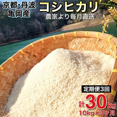 【毎月定期便】農家直送!佐伯の里 源流米 京都丹波産 コシヒカリ10kg全3回