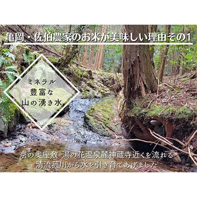 【毎月定期便】農家直送!佐伯の里 源流米 京都丹波産 コシヒカリ10kg全3回