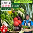 【毎月定期便】訳あり 農家直送!佐伯の里の新鮮 朝採れ野菜(7～10品目)全6回
