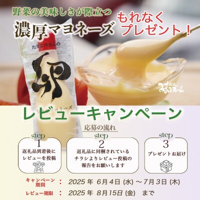【毎月定期便】訳あり 農家直送!佐伯の里の新鮮 朝採れ野菜(7~10品目)全6回