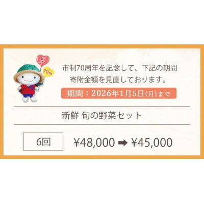 【毎月定期便】訳あり 農家直送!佐伯の里の新鮮 野菜セット(7～10品目)全6回