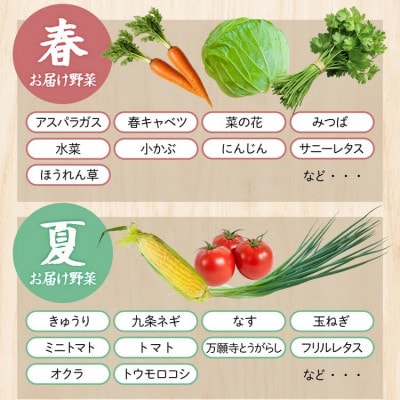 【毎月定期便】訳あり 農家直送!佐伯の里の新鮮 野菜セット(7～10品目)全6回