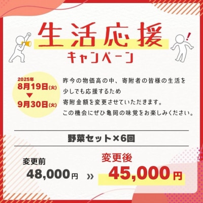 【毎月定期便】訳あり 農家直送!佐伯の里の新鮮 朝採れ野菜(7～10品目)全6回