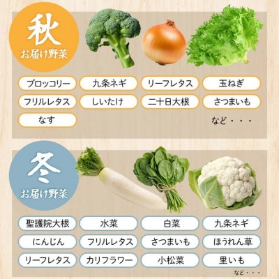 【毎月定期便】訳あり 農家直送!佐伯の里の新鮮 野菜セット(7～10品目)全6回