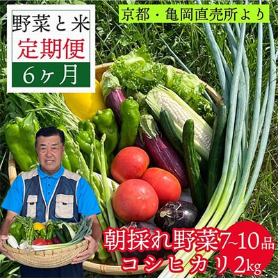 【毎月定期便】訳あり 農家直送!佐伯の里の新鮮 朝採れ野菜(7～10品目)+コシヒカリ2kg全6回