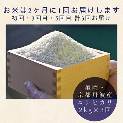 【毎月定期便】訳あり 農家直送!佐伯の里の新鮮 朝採れ野菜(7～10品目)+コシヒカリ2kg全6回