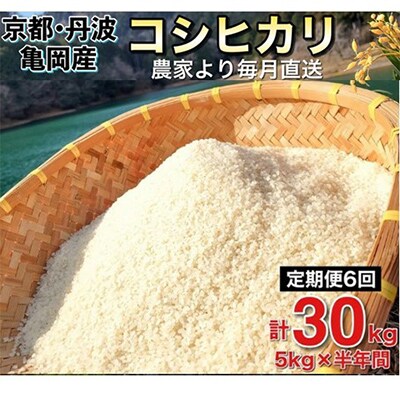 【発送月固定定期便】【先行受付】佐伯の里 源流米 京都丹波産コシヒカリ5kg全6回