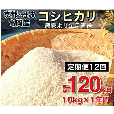 【発送月固定定期便】【先行受付】佐伯の里 源流米 京都丹波産コシヒカリ10kg全12回