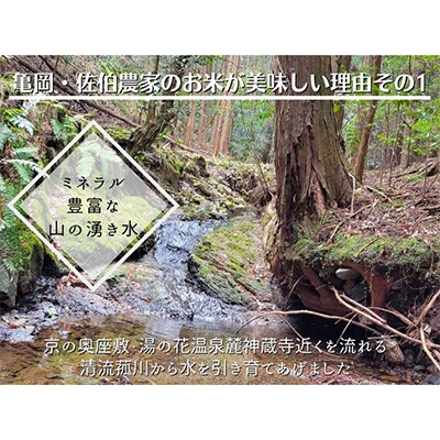 2022年11月発送開始『定期便』農家直送!毎月お届け 京都丹波 亀岡産 コシヒカリ5kg 全3回